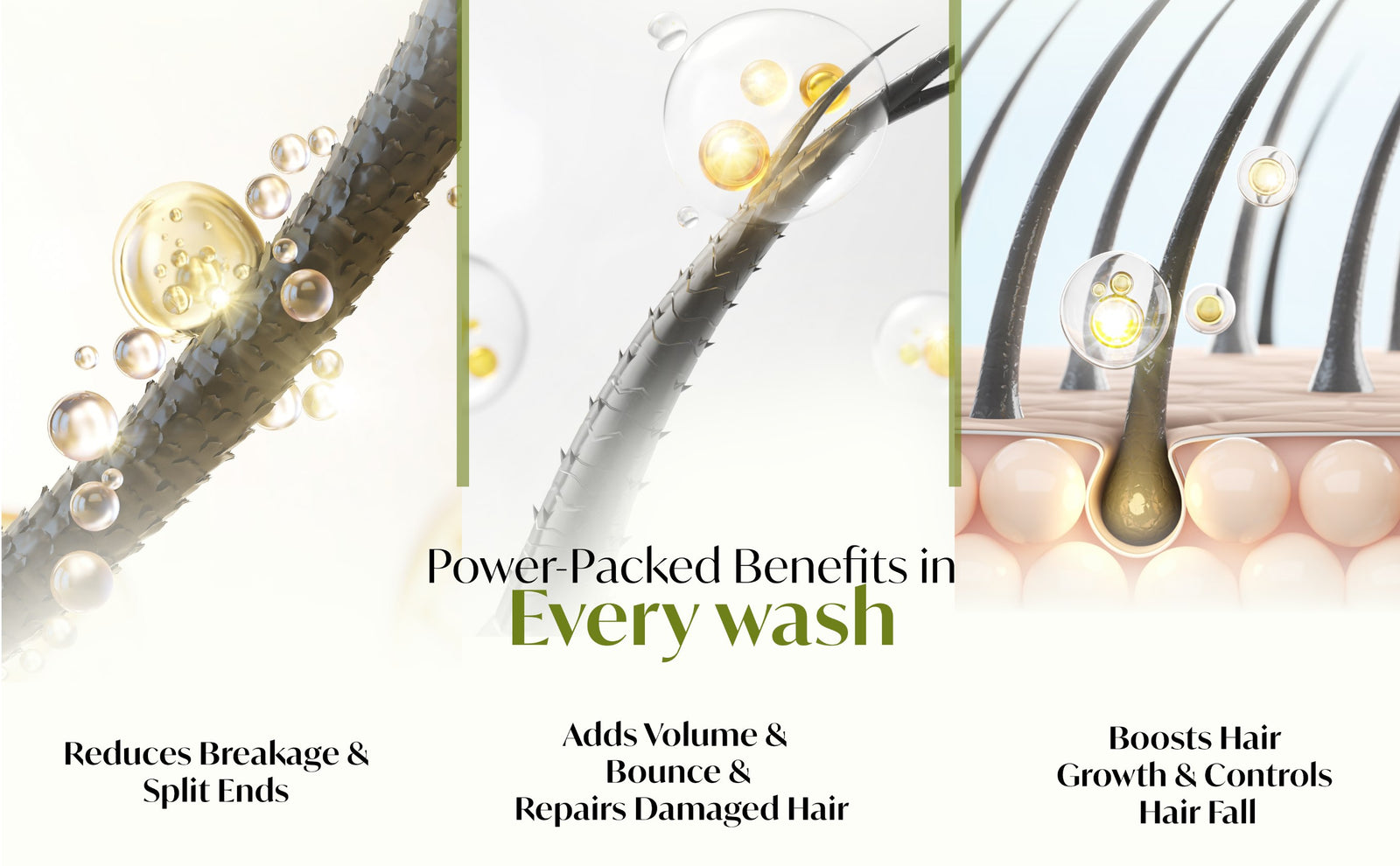 Intense Repair Shampoo